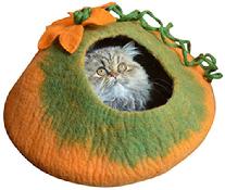 radiant realm cat cave